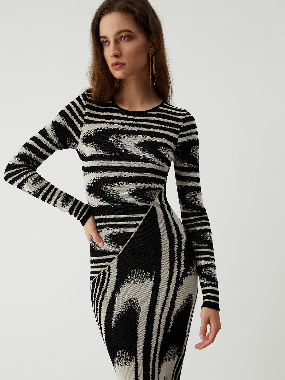 Zebra Print Long Sleeve Sweater Dress