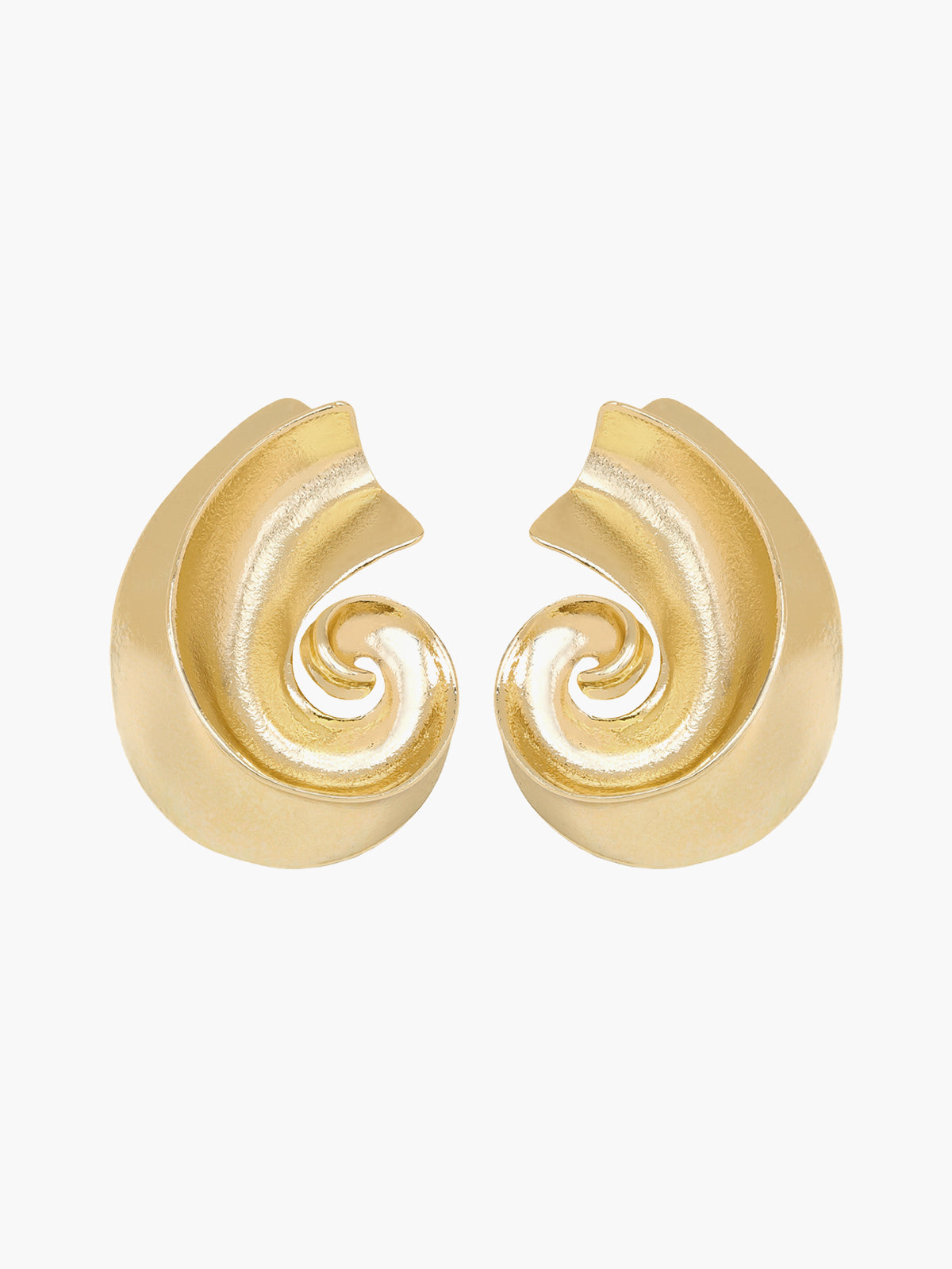 Conch Stud Earrings