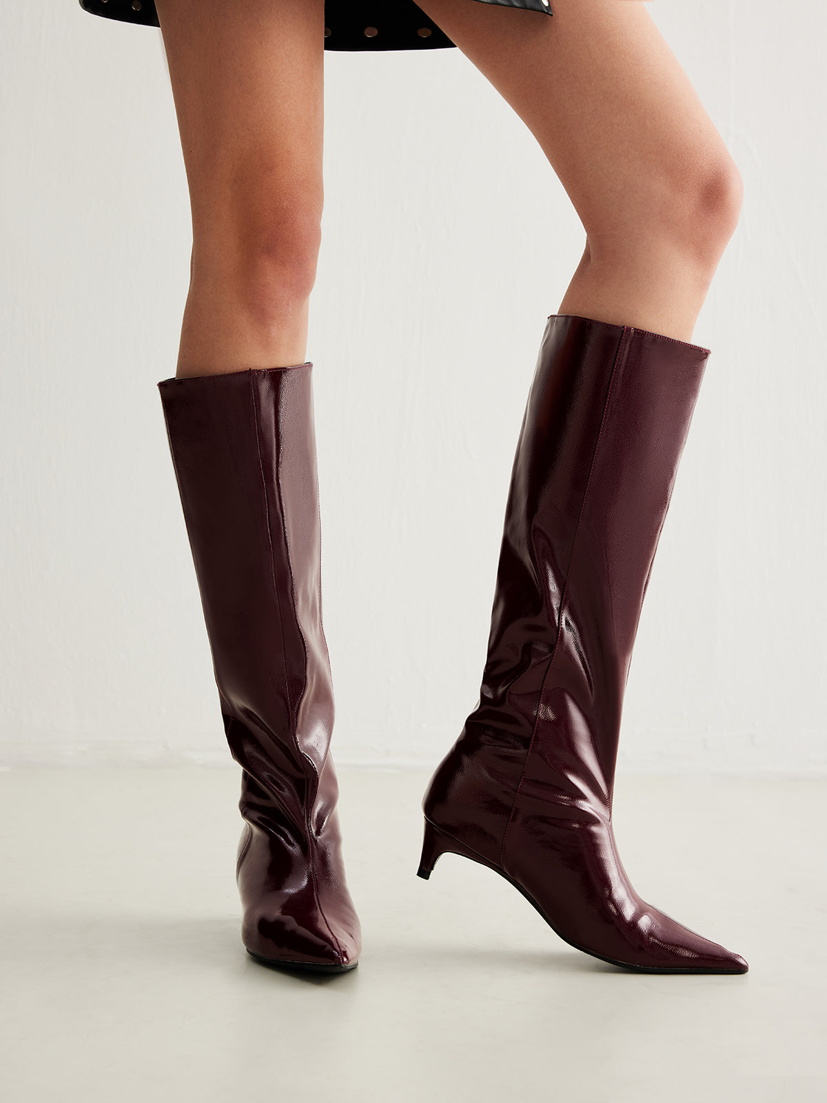 Pointed Toe Kitten Knee High Boots