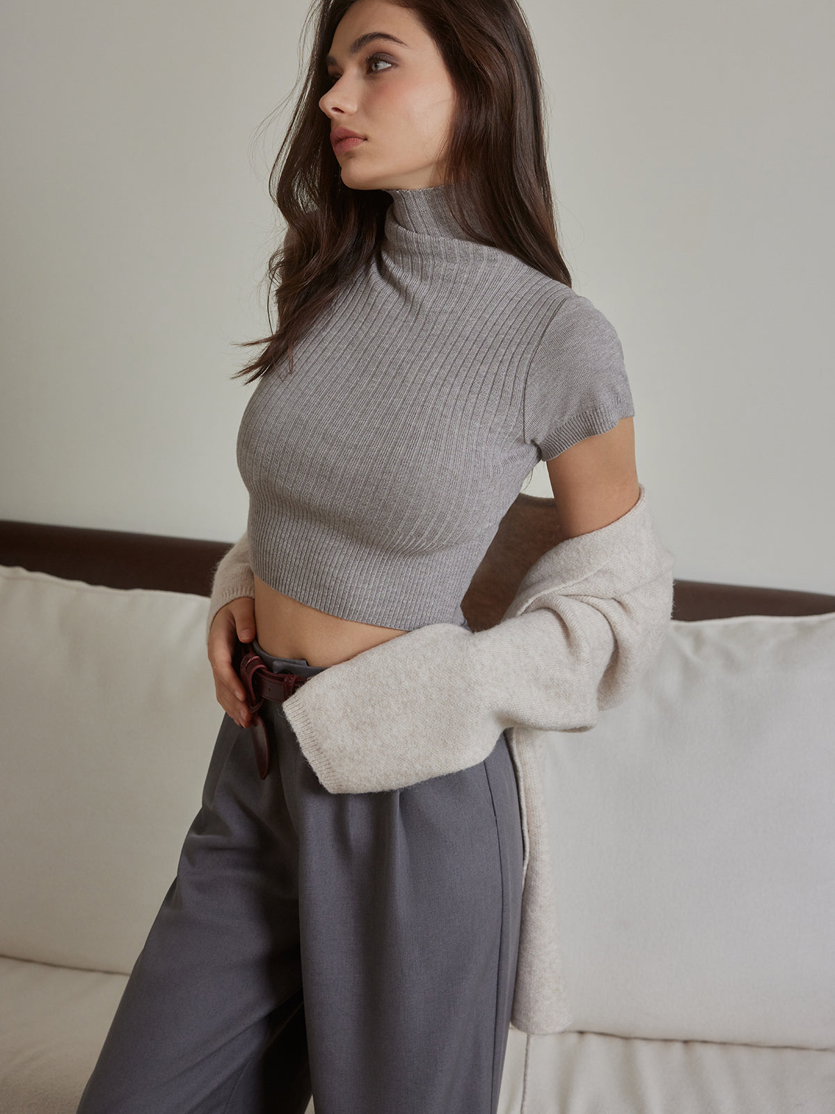 Turtleneck Skinny Crop Knit Top