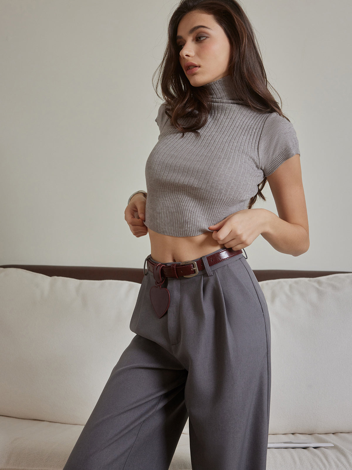 Turtleneck Skinny Crop Knit Top